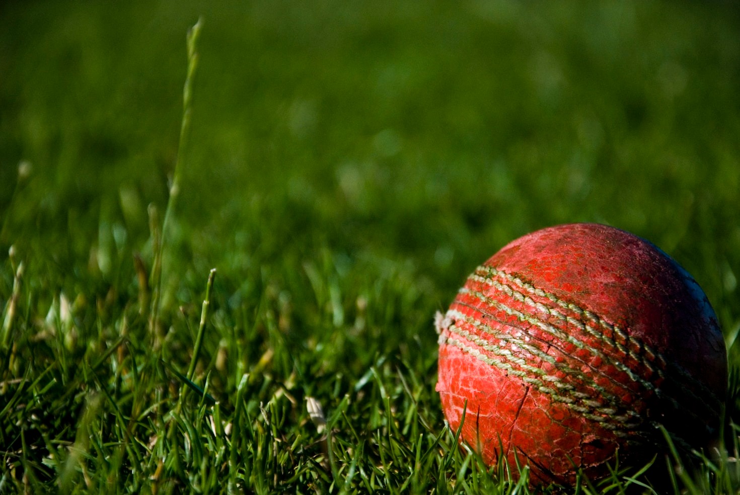 Enhancing Your Cricket Betting Experience Safely